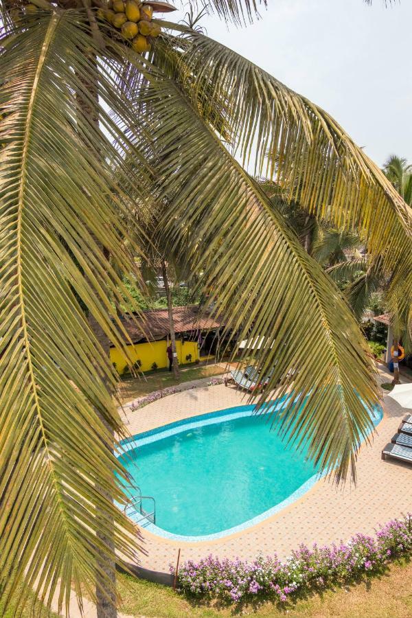 Dona Julia Beach Resort Calangute Ngoại thất bức ảnh